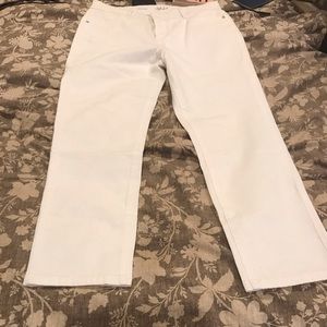 Style&Co Jeans